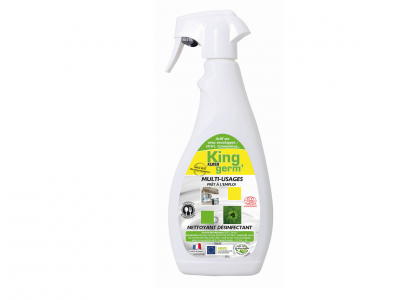 FLASH GERM' MULTI USAGES SPRAY KING